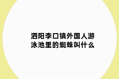 泗阳李口镇外国人游泳池里的蜘蛛叫什么