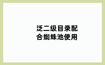 泛二级目录配合蜘蛛池使用