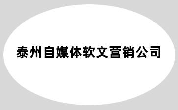 泰州自媒体软文营销公司