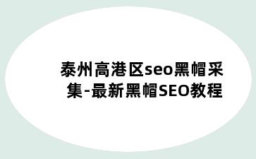 泰州高港区seo黑帽采集-最新黑帽SEO教程