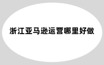 浙江亚马逊运营哪里好做