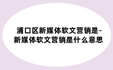 浦口区新媒体软文营销是-新媒体软文营销是什么意思