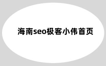 海南seo极客小伟首页