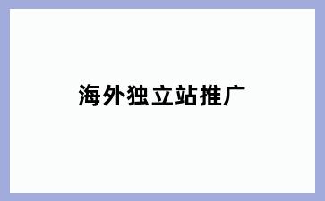 海外独立站推广