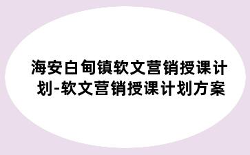 海安白甸镇软文营销授课计划-软文营销授课计划方案