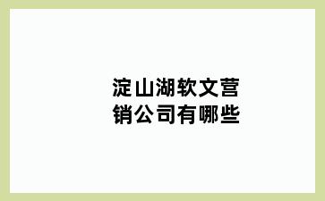 淀山湖软文营销公司有哪些