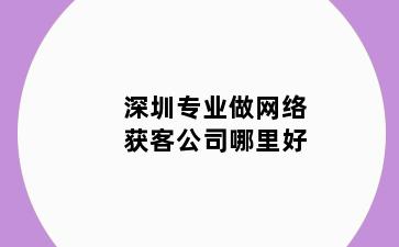 深圳专业做网络获客公司哪里好