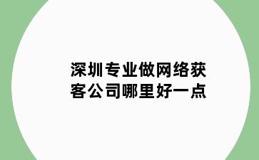 深圳专业做网络获客公司哪里好一点