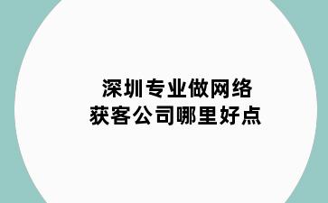 深圳专业做网络获客公司哪里好点