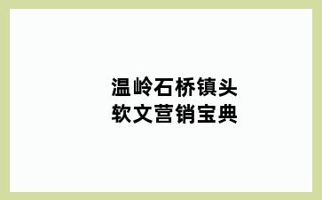 温岭石桥镇头软文营销宝典