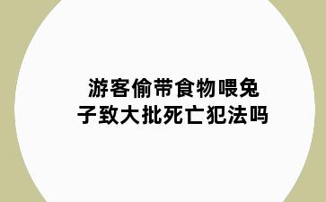 游客偷带食物喂兔子致大批死亡犯法吗