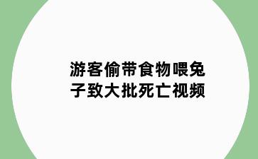 游客偷带食物喂兔子致大批死亡视频