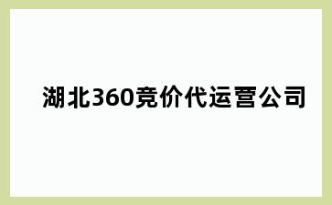 湖北360竞价代运营公司