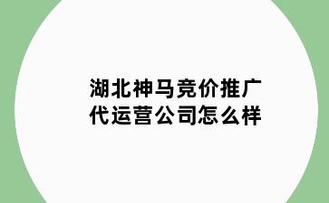 湖北神马竞价推广代运营公司怎么样