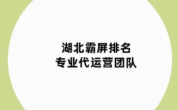 湖北霸屏排名专业代运营团队