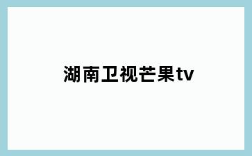 湖南卫视芒果tv