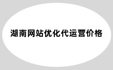 湖南网站优化代运营价格