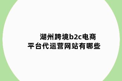 湖州跨境b2c电商平台代运营网站有哪些