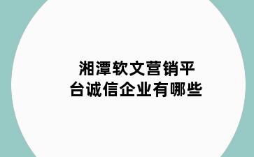 湘潭软文营销平台诚信企业有哪些