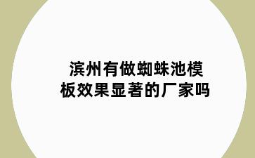 滨州有做蜘蛛池模板效果显著的厂家吗