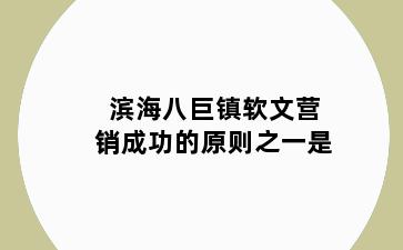 滨海八巨镇软文营销成功的原则之一是