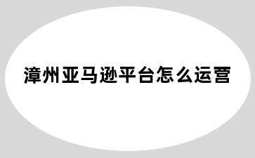 漳州亚马逊平台怎么运营