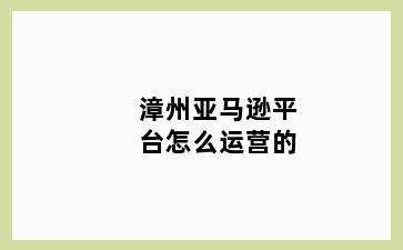 漳州亚马逊平台怎么运营的