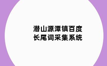 潜山源潭镇百度长尾词采集系统