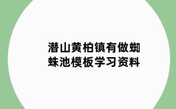 潜山黄柏镇有做蜘蛛池模板学习资料