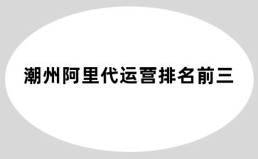 潮州阿里代运营排名前三