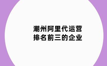 潮州阿里代运营排名前三的企业