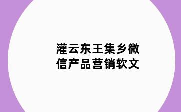 灌云东王集乡微信产品营销软文