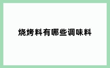 烧烤料有哪些调味料