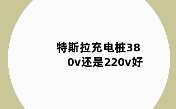 特斯拉充电桩380v还是220v好