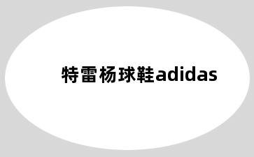 特雷杨球鞋adidas