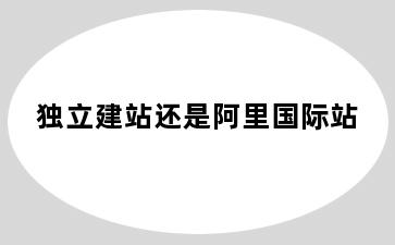 独立建站还是阿里国际站