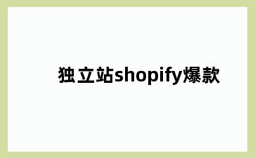独立站shopify爆款
