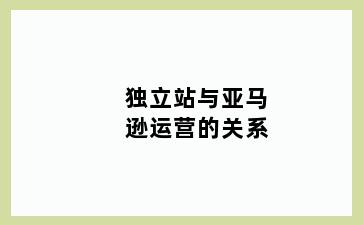 独立站与亚马逊运营的关系