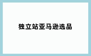 独立站亚马逊选品