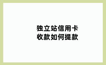 独立站信用卡收款如何提款