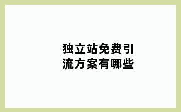 独立站免费引流方案有哪些