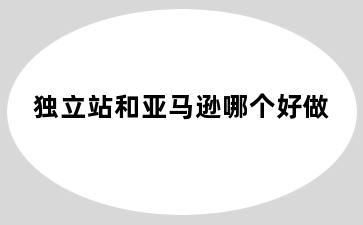 独立站和亚马逊哪个好做