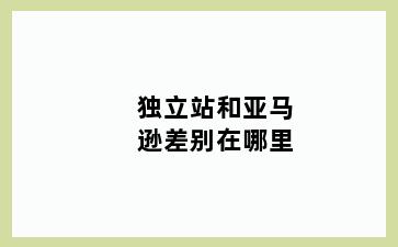 独立站和亚马逊差别在哪里