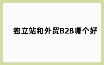 独立站和外贸B2B哪个好