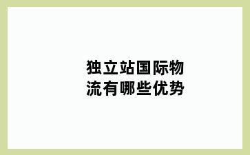 独立站国际物流有哪些优势