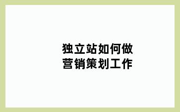 独立站如何做营销策划工作