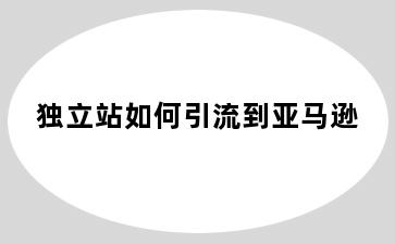 独立站如何引流到亚马逊