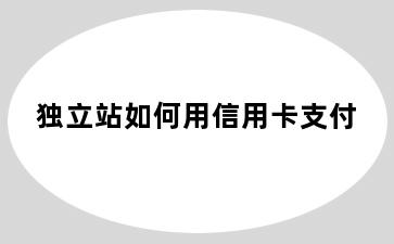 独立站如何用信用卡支付