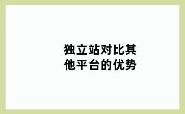 独立站对比其他平台的优势