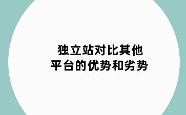 独立站对比其他平台的优势和劣势